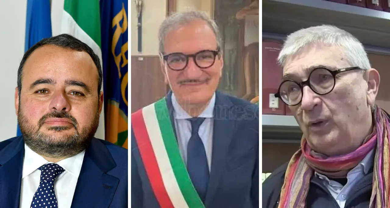 Sistema bibliotecario vibonese, Pitaro accompagna Romeo alla porta ma lui rilancia: «Le mie dimissioni? Una provocazione»\n