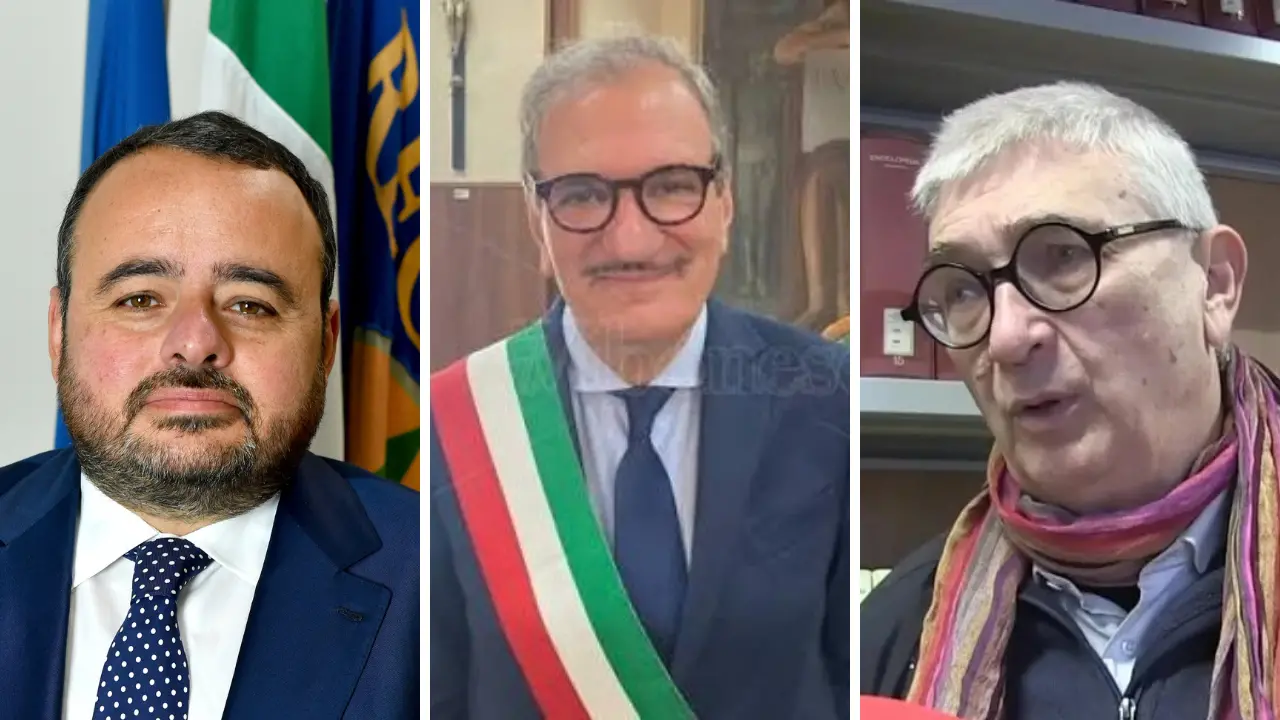 Sistema bibliotecario vibonese, Pitaro accompagna Romeo alla porta ma lui rilancia: «Le mie dimissioni? Una provocazione»\n