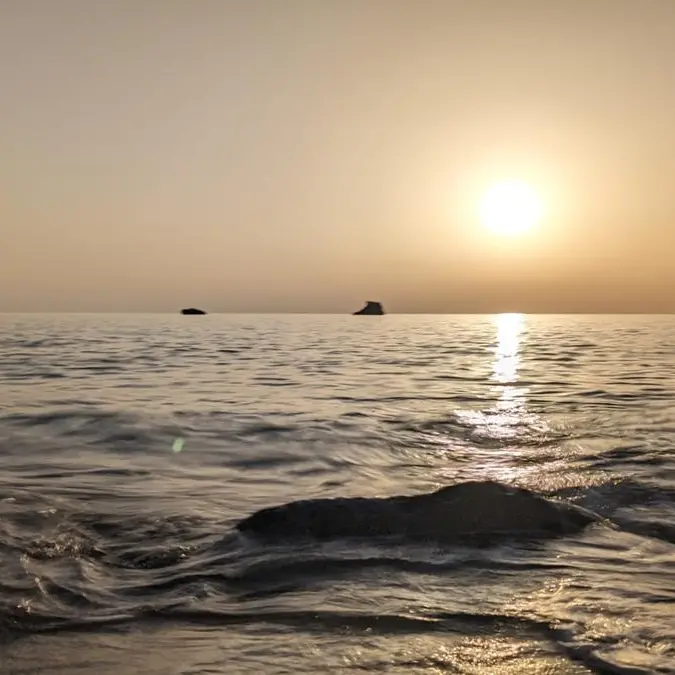 Belmonte Calabro, cento studenti alla scoperta dei fondali degli Scogli di Isca: il mare diventa un’aula a cielo aperto\n\n\n