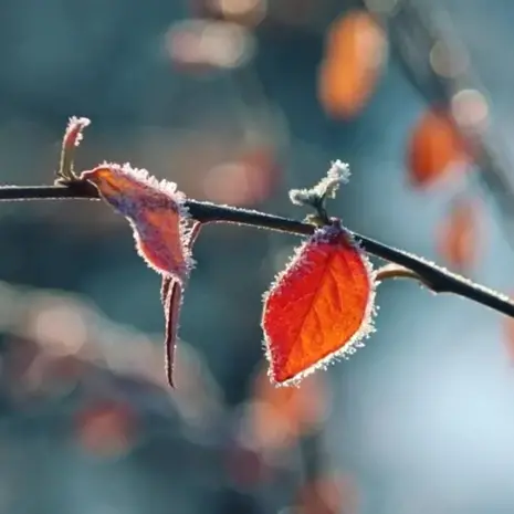 Meteo Cosenza, temperature in picchiata di notte e nelle prime ore del mattino\n