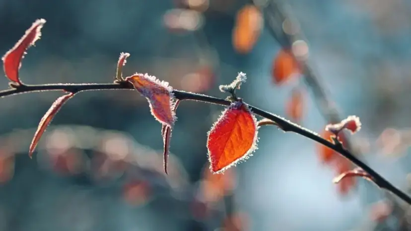 Meteo Cosenza, temperature in picchiata di notte e nelle prime ore del mattino\n