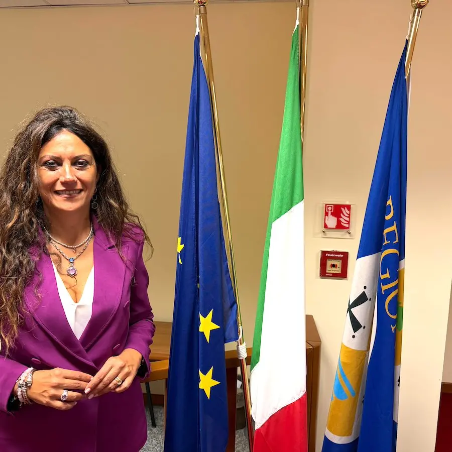 Sanità, Succurro: «Più servizi negli ospedali delle aree montane e disagiate. La Calabria può cambiare passo»\n