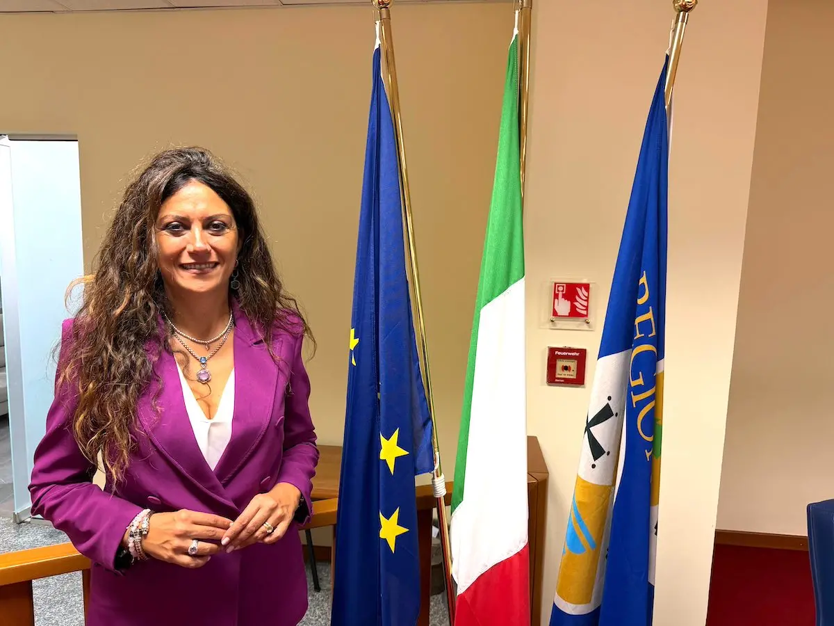 Sanità, Succurro: «Più servizi negli ospedali delle aree montane e disagiate. La Calabria può cambiare passo»\n