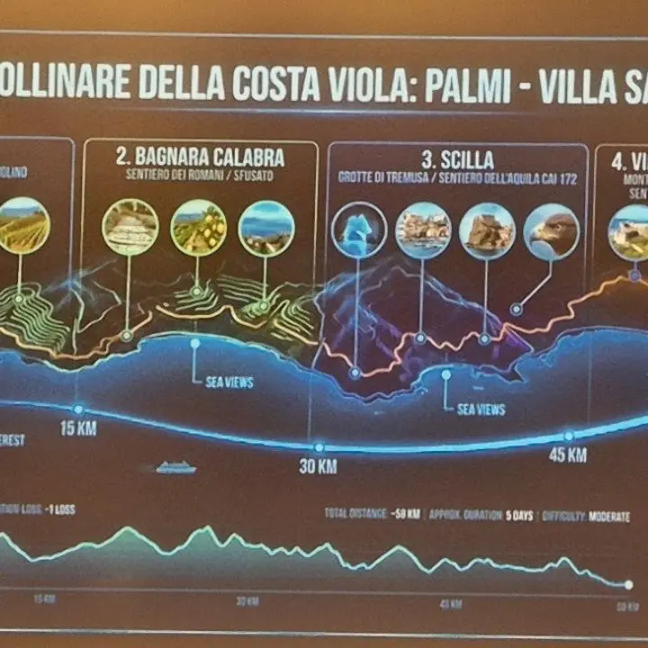 Scilla verso il settimo Parco marino regionale: un progetto tra fondali e Aspromonte\n