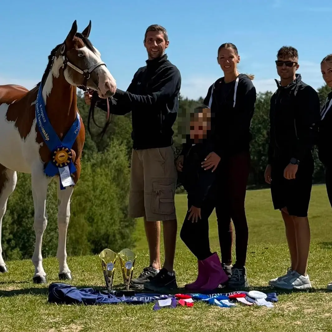 Dalla provincia di Vibo ai vertici delle competizioni equestri,\u00A0la cavalla Ice Ice Baby\u00A0si aggiudica la\u00A0“Triple Crown”: è la più bella d’Europa\n