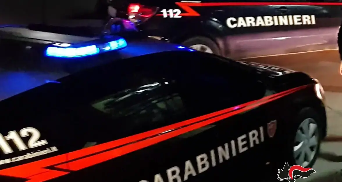 Blitz antidroga nel Catanzarese, 24 misure cautelari: per pagare le dosi usavano anche le tessere del Reddito di cittadinanza\n