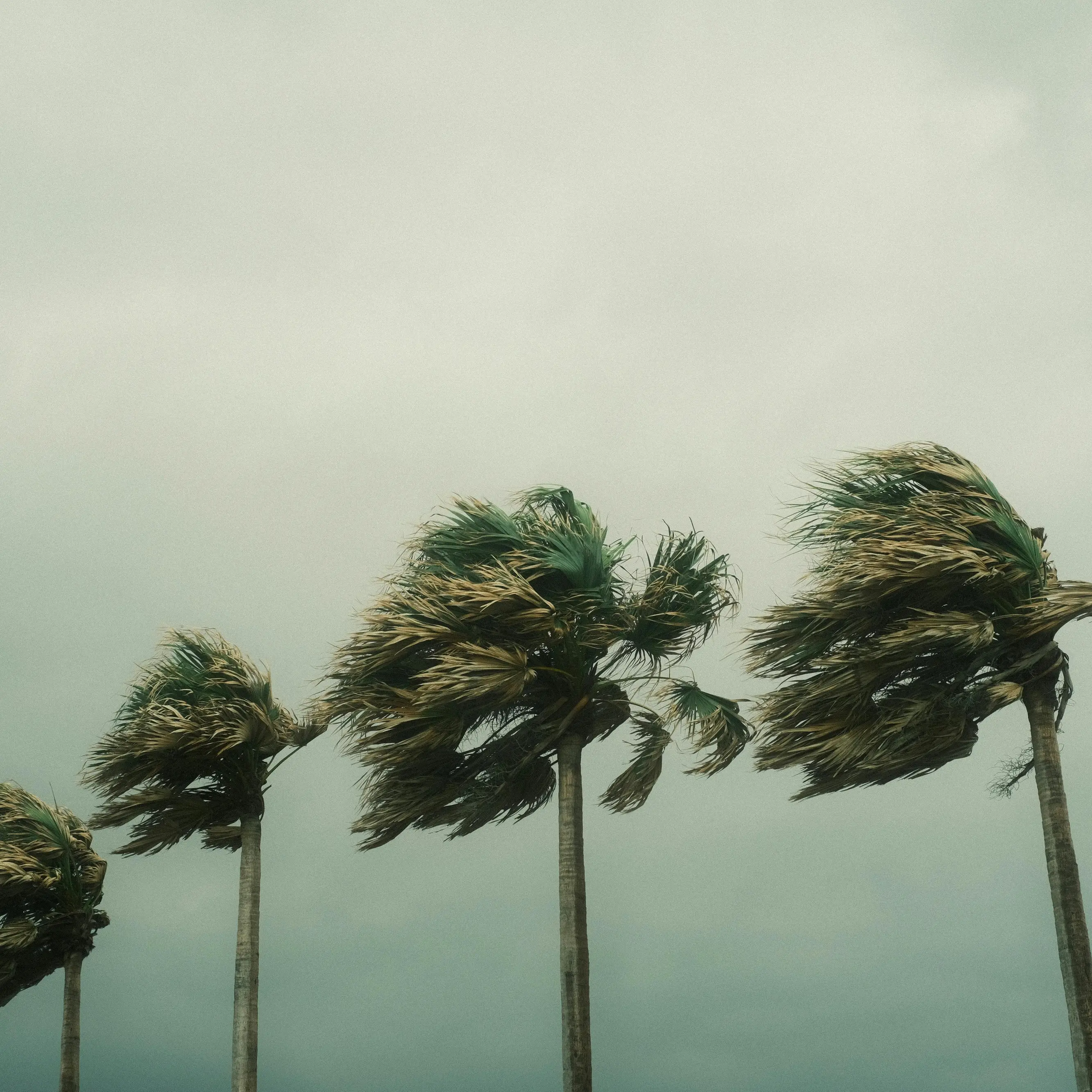 Meteo Calabria, raffiche fino a 75 km/h e onde alte 5 metri: poi torna il sole (almeno fino a sabato)\n
