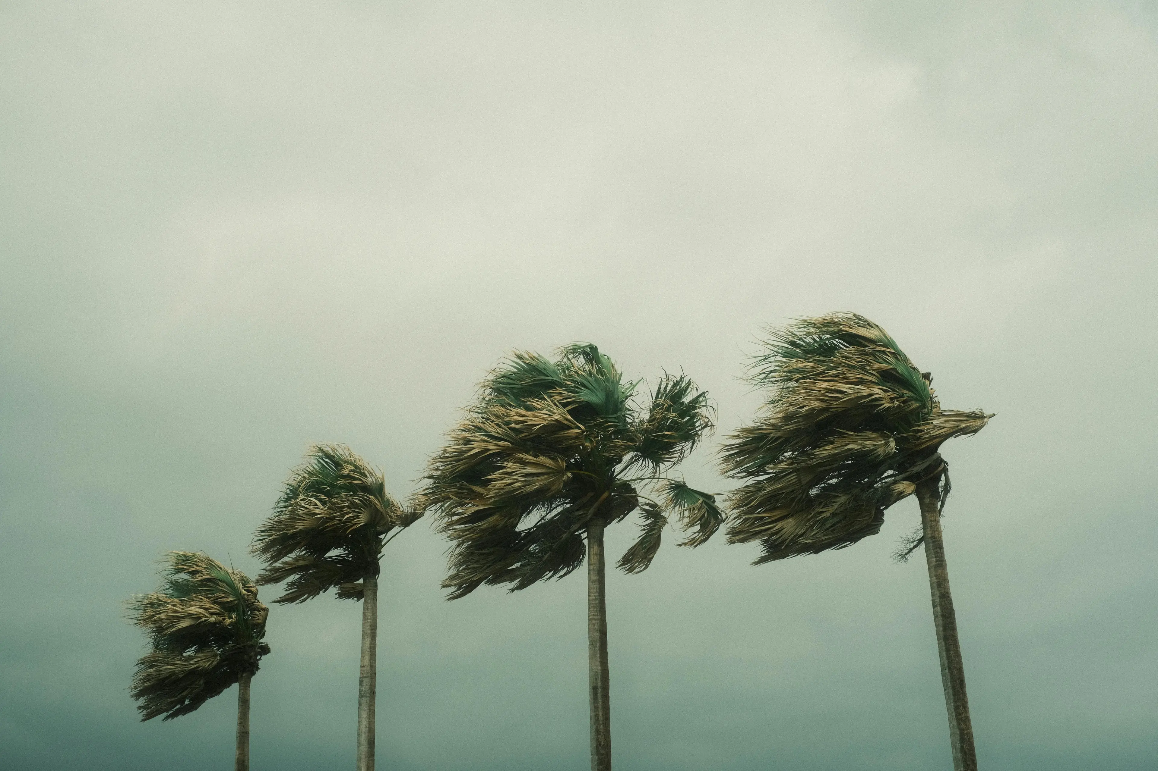 Meteo Calabria, raffiche fino a 75 km/h e onde alte 5 metri: poi torna il sole (almeno fino a sabato)\n