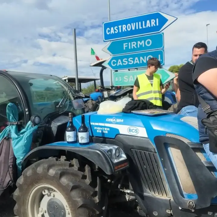 Gasolio agricolo, Coldiretti: «La Regione Calabria interviene sui rincari: prezzo imponibile medio sotto un euro al litro»\n