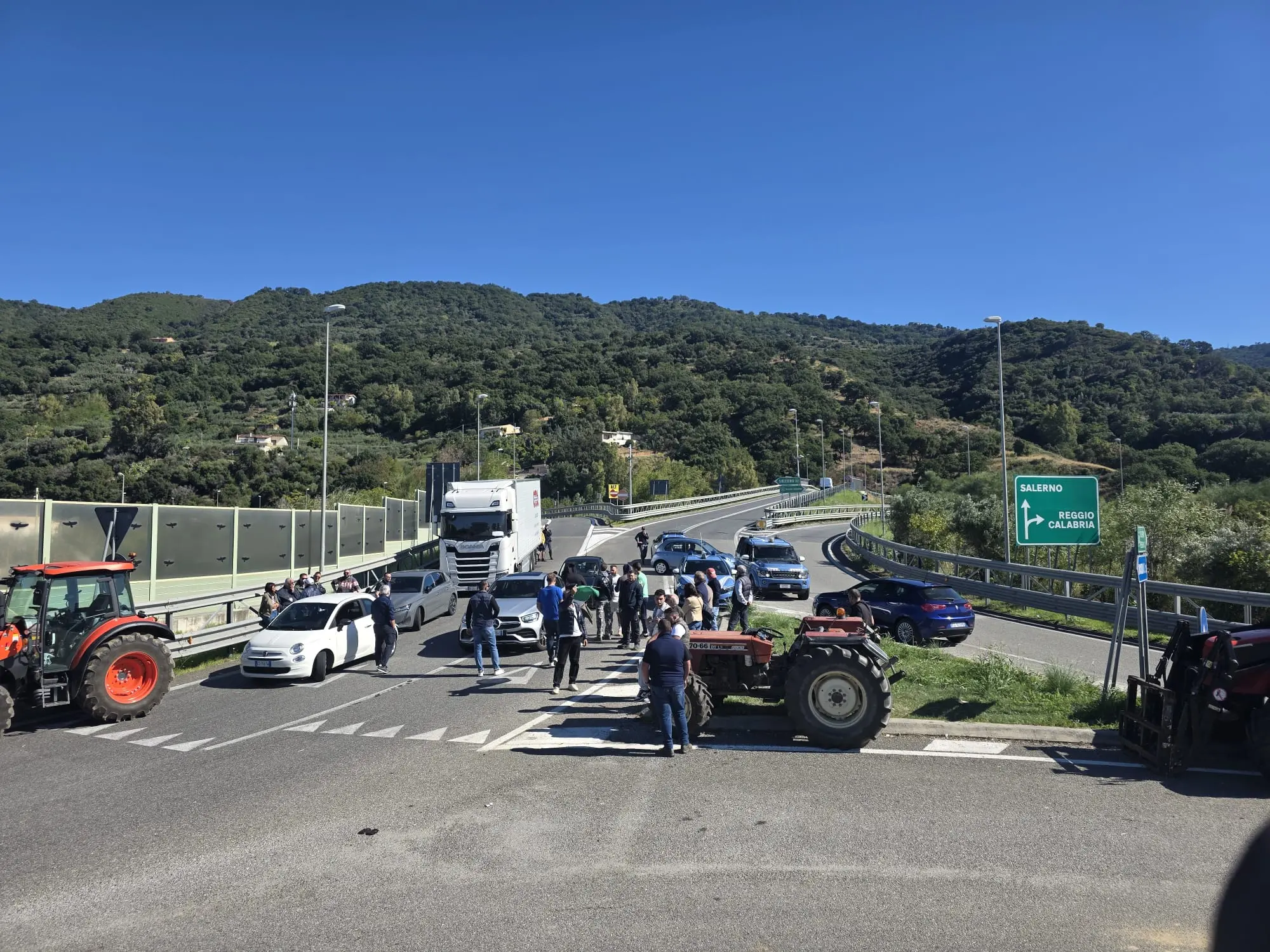 «Protestiamo per tutti, ma non si vede nessuno»: rabbia e delusione tra gli agricoltori in Calabria\n