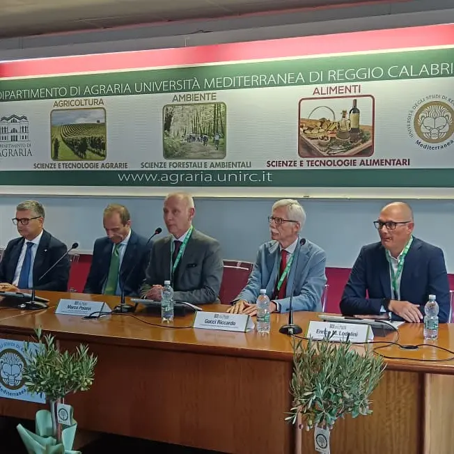 Agraria apre le porte al VII congresso nazionale dell'olivo e dell'olio: spazio a innovazione e biodiversità per il futuro del comparto\n