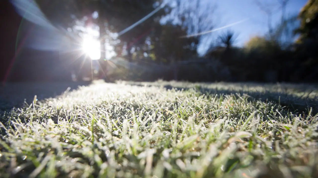 Meteo Cosenza,\u00A0arriva il freddo da nord-est: ecco le gelide temperature della scorsa notte\n