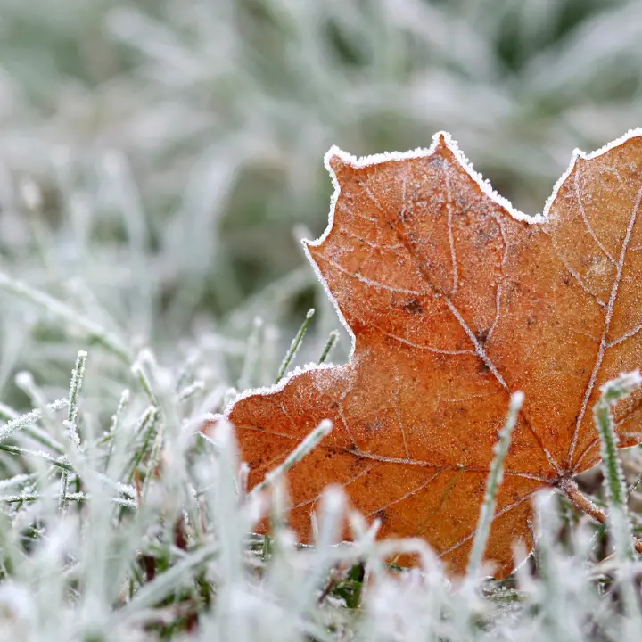 Freddo quasi invernale nel Vibonese, Serra sfiora gli zero gradi. Temperature a picco anche a Mongiana e Spadola\n