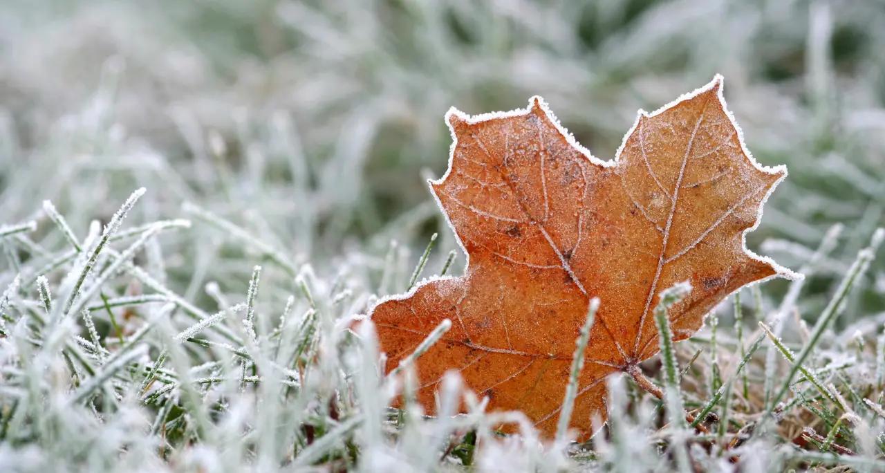Freddo quasi invernale nel Vibonese, Serra sfiora gli zero gradi. Temperature a picco anche a Mongiana e Spadola\n