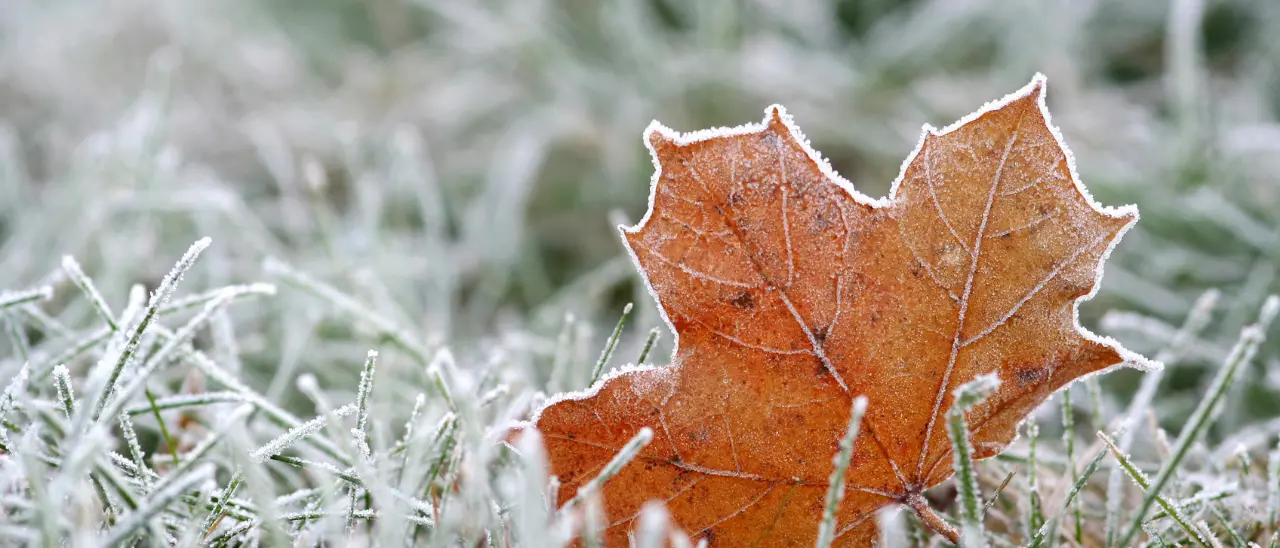 Freddo quasi invernale nel Vibonese, Serra sfiora gli zero gradi. Temperature a picco anche a Mongiana e Spadola\n