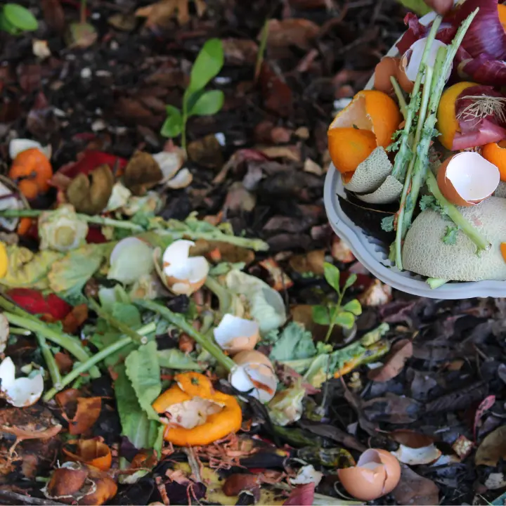 Vibo, una compostiera gratis e sconto sulla Tari per chi impara a riciclare gli scarti di cucina e giardino: riprendono i corsi del Comune\n
