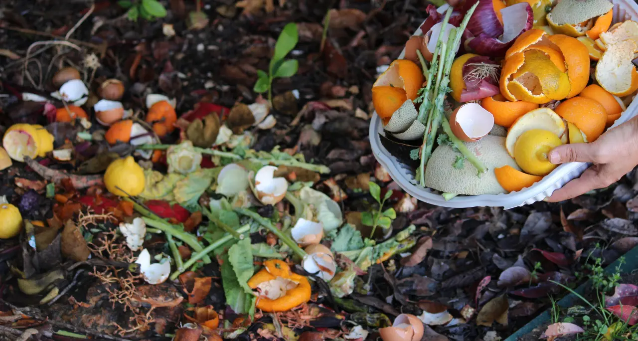 Vibo, una compostiera gratis e sconto sulla Tari per chi impara a riciclare gli scarti di cucina e giardino: riprendono i corsi del Comune\n
