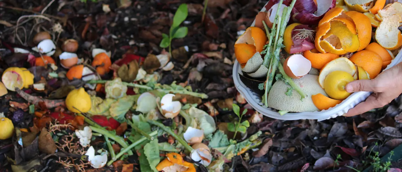 Vibo, una compostiera gratis e sconto sulla Tari per chi impara a riciclare gli scarti di cucina e giardino: riprendono i corsi del Comune\n