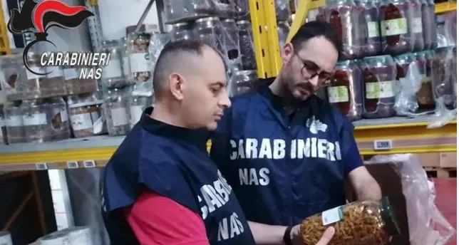 Blitz dei Nas nella Presila catanzarese, sequestrati 1.500 chili di alimenti e 355 di cosmetici: laboratorio chiuso\n