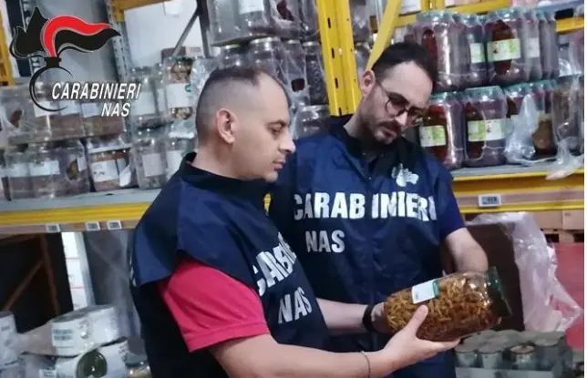 Blitz dei Nas nella Presila catanzarese, sequestrati 1.500 chili di alimenti e 355 di cosmetici: laboratorio chiuso\n