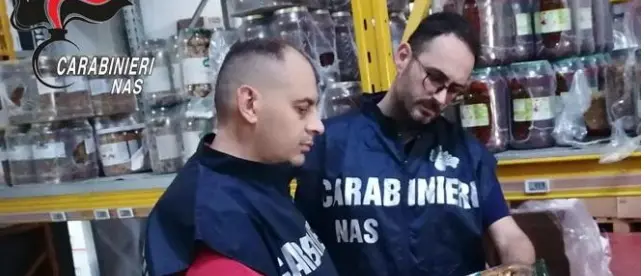 Blitz dei Nas nella Presila catanzarese, sequestrati 1.500 chili di alimenti e 355 di cosmetici: laboratorio chiuso\n