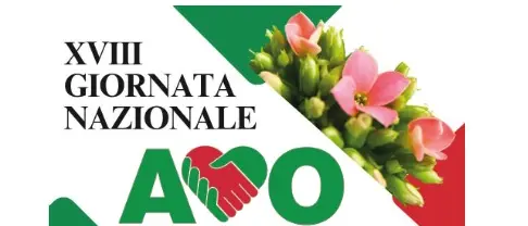 XVIII Giornata Nazionale Avo a Reggio:\u00A0volontarie e volontari donano la Kalanchoe, la pianta del sorriso