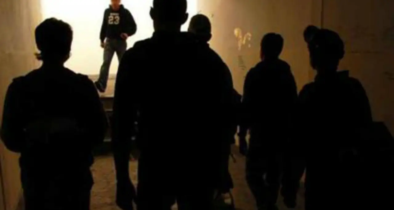 Violenza giovanile e responsabilità educativa: l'appello dell'ANPE Calabria agli adulti e alle istituzioni\n