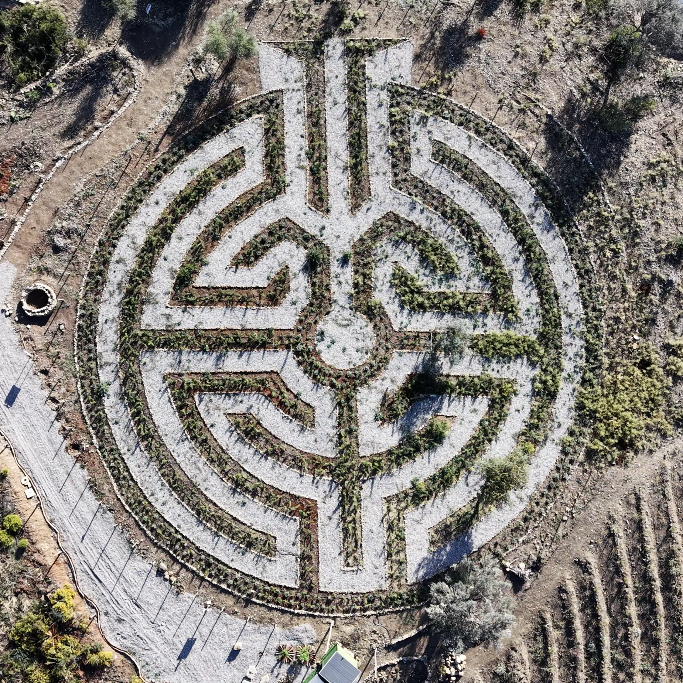 Dall’America alla Calabria per il labirinto di rose più grande d’Europa: la sfida di Mattia Nigro a LaC Storie\n