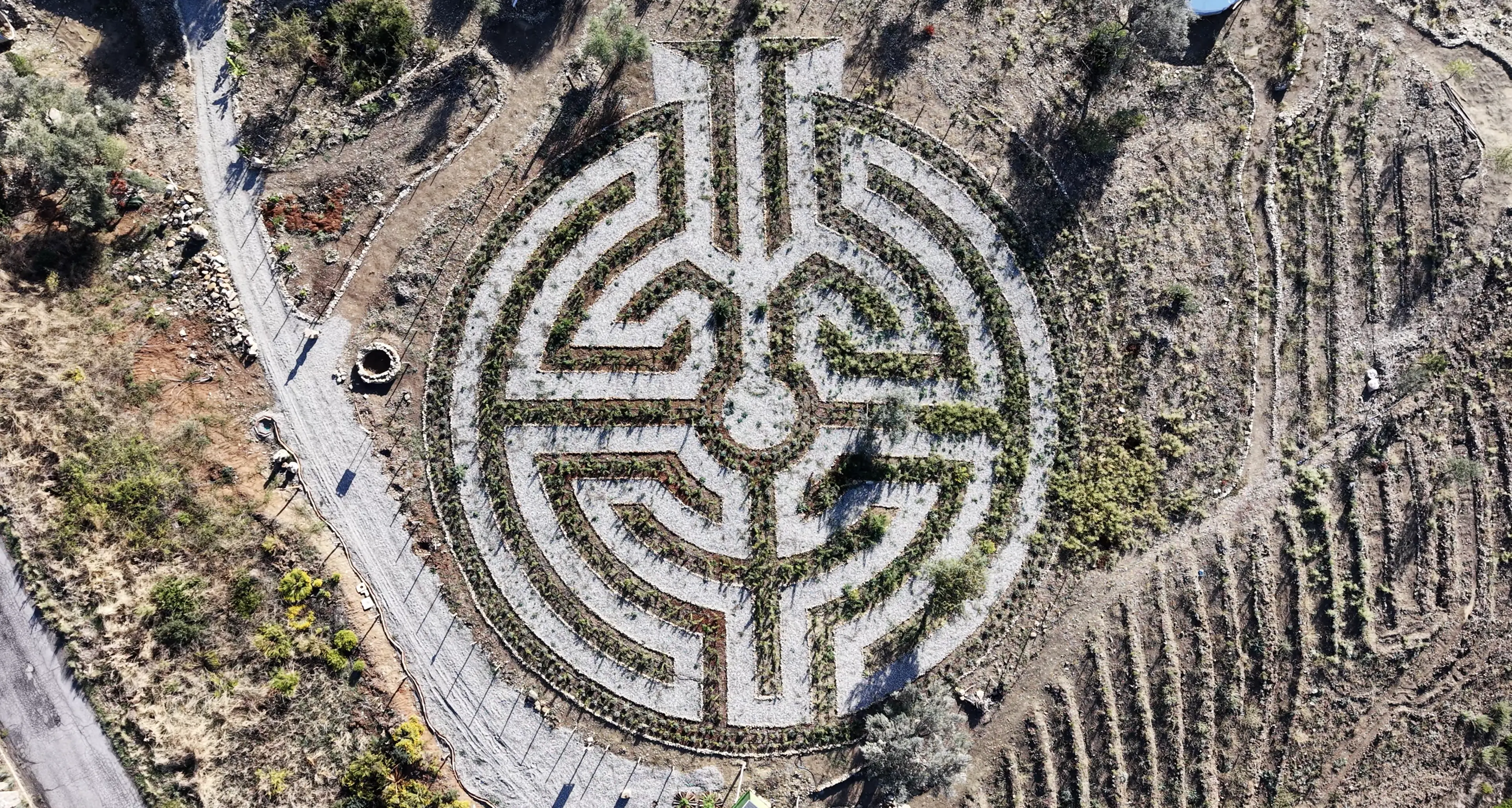 Dall’America alla Calabria per il labirinto di rose più grande d’Europa: la sfida di Mattia Nigro a LaC Storie\n