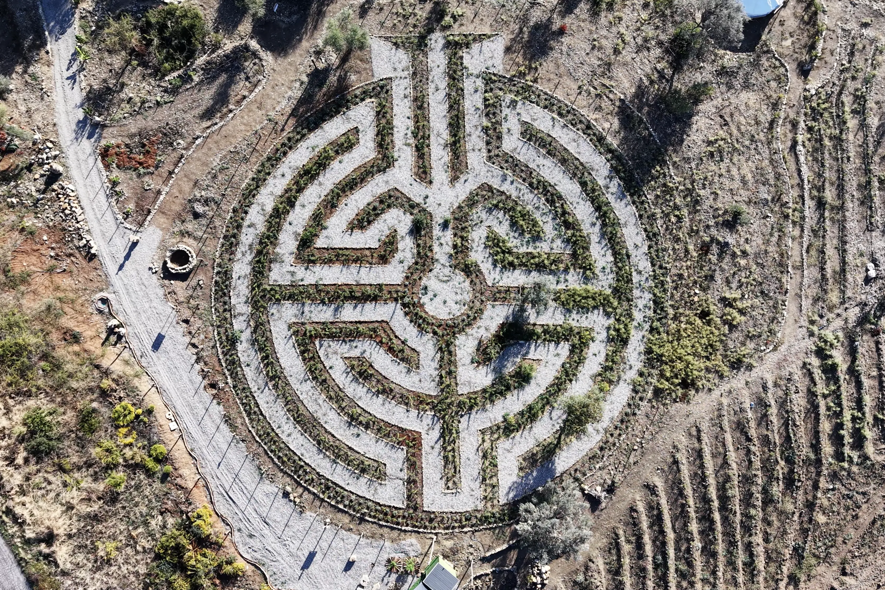 Dall’America alla Calabria per il labirinto di rose più grande d’Europa: la sfida di Mattia Nigro a LaC Storie\n