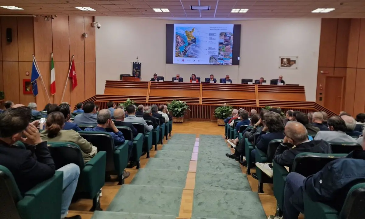Rischio idrogeologico nel Cosentino, presentati il masterplan e la piattaforma WebGis ai Comuni\n