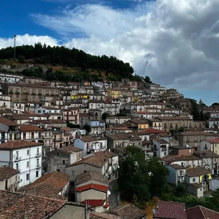 “Pane e montagna”, a Cerchiara l’arte bianca\u00A0entra a scuola con laboratori per i bambini e visite ai forni\n