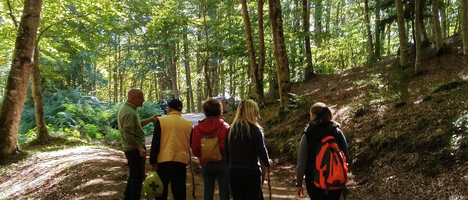 Alla scoperta dei funghi delle Serre vibonesi, successo per l’escursione promossa da\u00A0IncrociaMenti: «Un patrimonio da difendere»\n