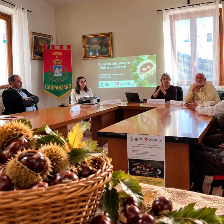 Castagna Rovellese, qualità alta e prezzi bassi: a Carpanzano l’appello a fare rete tra i produttori\n