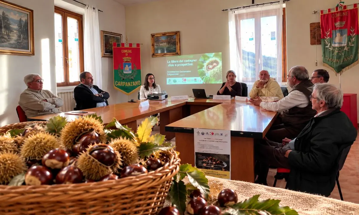 Castagna Rovellese, qualità alta e prezzi bassi: a Carpanzano l’appello a fare rete tra i produttori\n