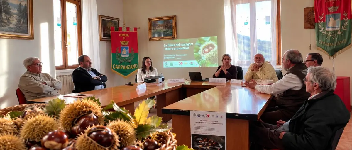 Castagna Rovellese, qualità alta e prezzi bassi: a Carpanzano l’appello a fare rete tra i produttori\n