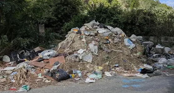 Emergenza rifiuti in Via Tagliamento: «La Provincia intervenga subito»