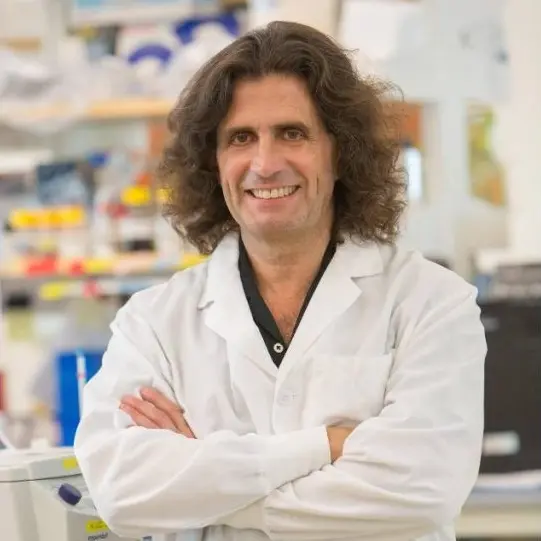 Mesotelioma, riconoscimento internazionale per uno scienziato calabrese: i suoi studi\u00A0aprono nuove prospettive per la prevenzione del tumore\n