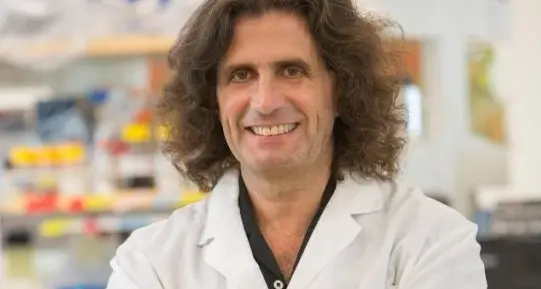 <p>Mesotelioma, <span style=\"color:hsl(0, 75%, 60%);\">riconoscimento per uno scienziato calabrese</span>: i suoi studi aprono nuove prospettive per la prevenzione del tumore</p>