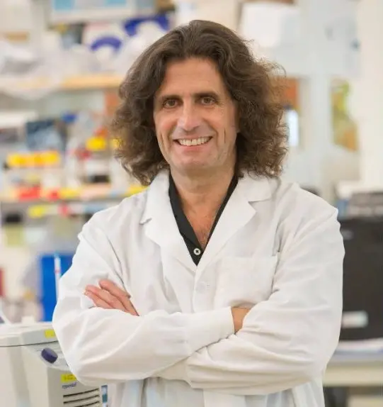 Mesotelioma, riconoscimento internazionale per uno scienziato calabrese: i suoi studi\u00A0aprono nuove prospettive per la prevenzione del tumore\n