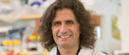 Mesotelioma, riconoscimento internazionale per uno scienziato calabrese: i suoi studi\u00A0aprono nuove prospettive per la prevenzione del tumore\n