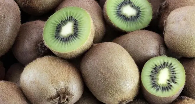 La rabbia di un agricoltore della Piana: «I kiwi non aspettano, le proteste stanno mettendo a rischio il settore»\n
