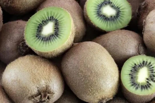 La rabbia di un agricoltore della Piana: «I kiwi non aspettano, le proteste stanno mettendo a rischio il settore»\n