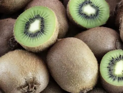 La rabbia di un agricoltore della Piana: «I kiwi non aspettano, le proteste stanno mettendo a rischio il settore»