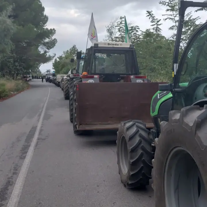 Protesta dei tir, la Calabria traina il Sud: blocchi nei porti, autostrade in tilt e distributori senza benzina\n