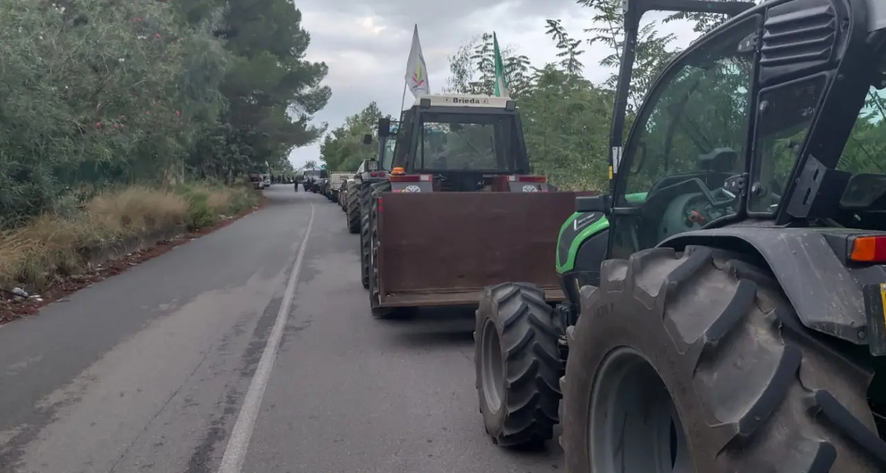 Protesta dei tir, la Calabria traina il Sud: blocchi nei porti, autostrade in tilt e distributori senza benzina\n