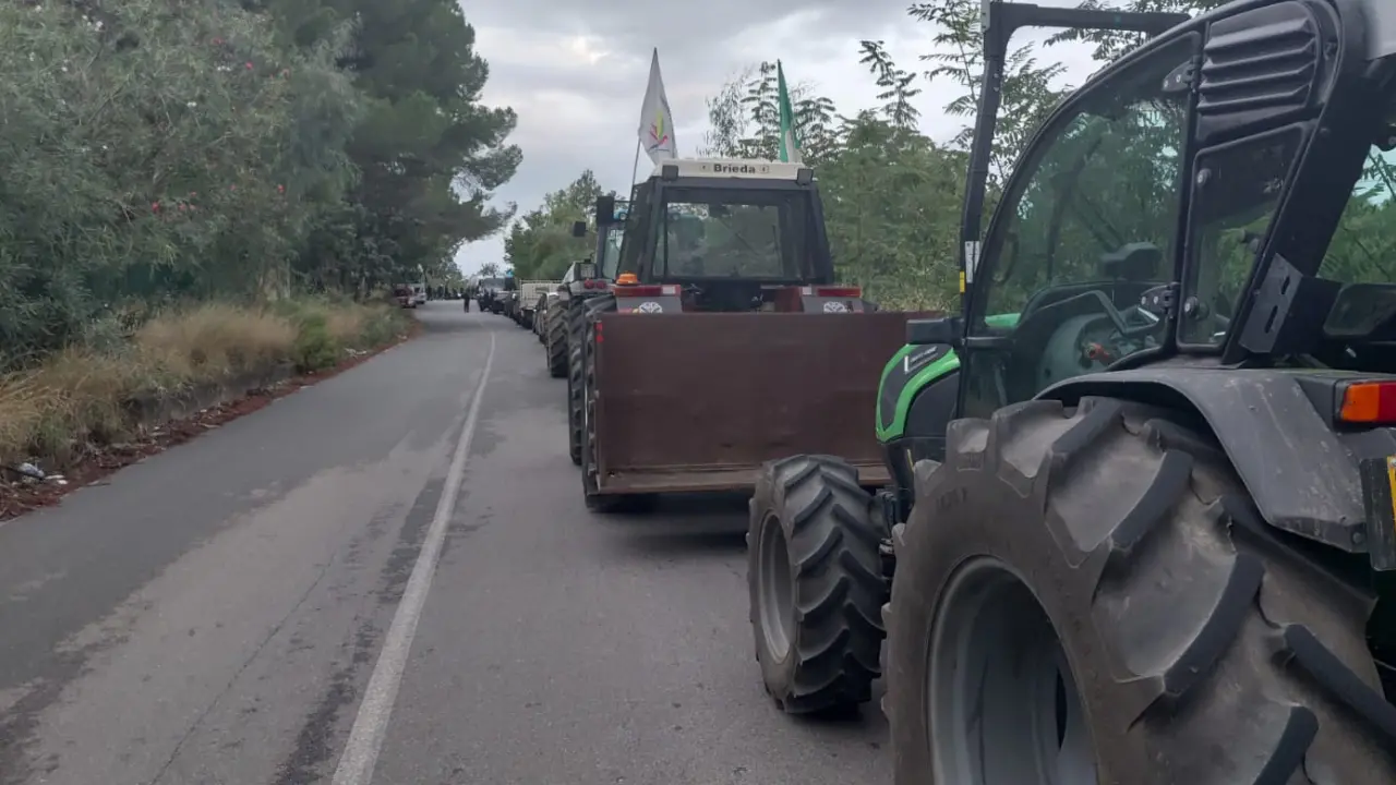 Protesta dei tir, la Calabria traina il Sud: blocchi nei porti, autostrade in tilt e distributori senza benzina\n