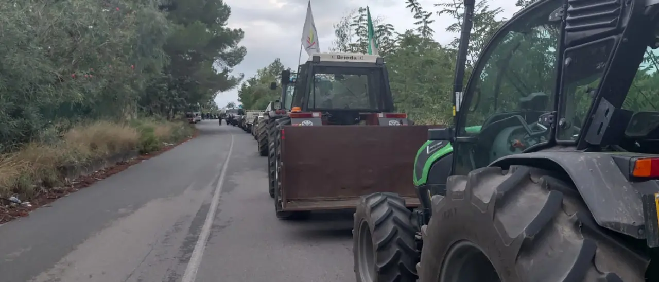 Protesta dei tir, la Calabria traina il Sud: blocchi nei porti, autostrade in tilt e distributori senza benzina\n