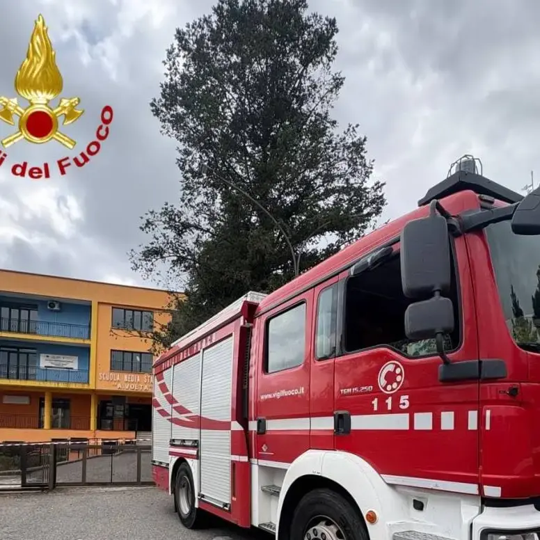 <p>«C’è una bomba a scuola, attacchi terroristici nel nome di Allah»: allarme in tre istituti in Calabria (e 50 in Italia)</p>