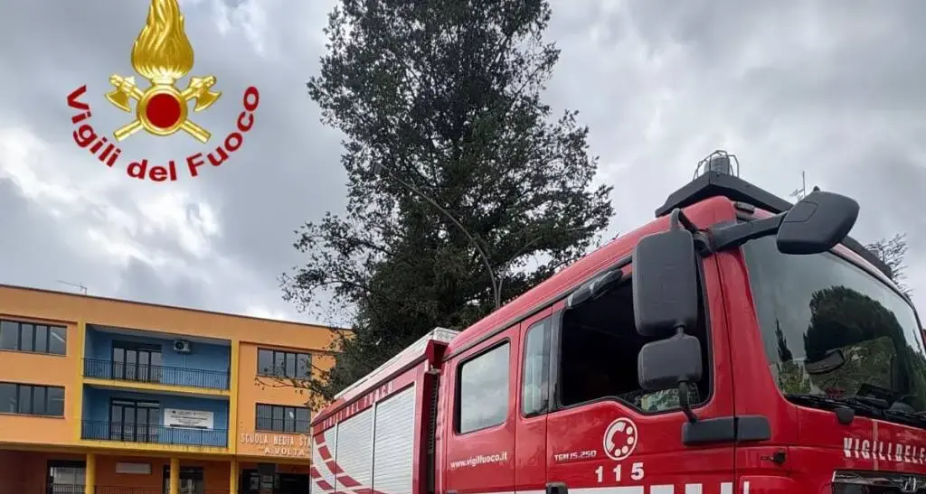 <p>«C’è una bomba a scuola, attacchi terroristici nel nome di Allah»: allarme in tre istituti in Calabria (e 50 in Italia)</p>